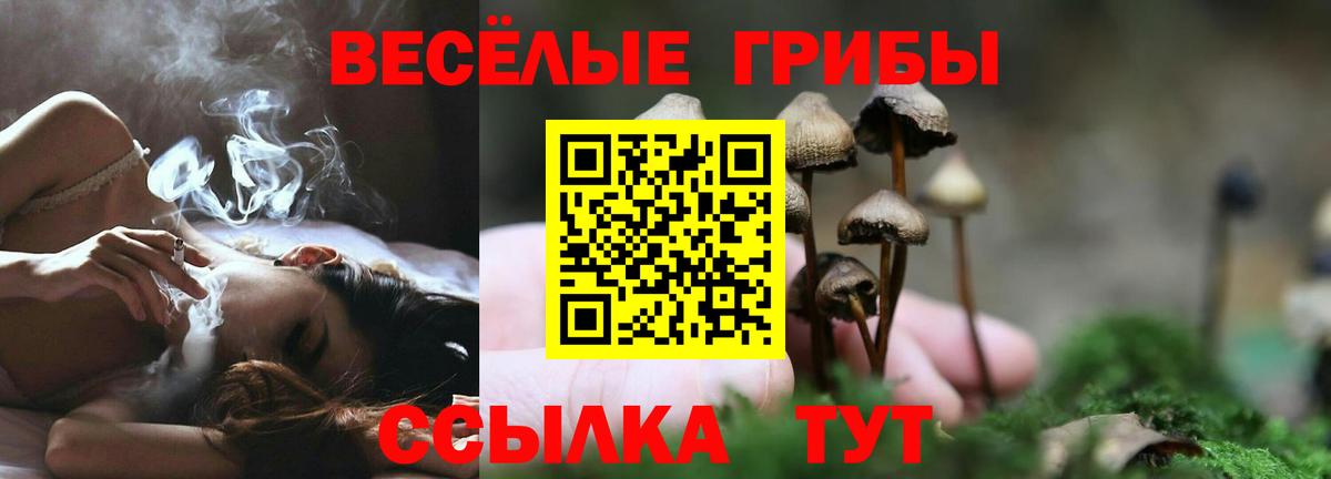 Псилоцибиновые грибы Magic Shrooms Усинск